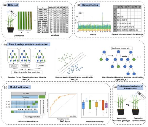 智能育種新突破 AI模型精準(zhǔn)篩選抗病種子，數(shù)字化技術(shù)引領(lǐng)農(nóng)業(yè)革新