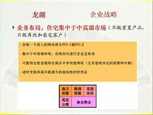 2019年龍湖房產(chǎn)項目實施策劃與公關服務方案